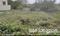 Image of 2800 Sq.ft Residential Plot / Land for sale in Hulimangala, Bangalore for Rs. 11200000