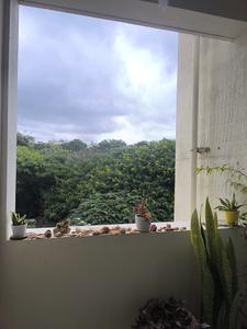 Nandi Forest View Attached Balcony with Bedroom Two 3