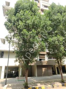 Image of 450 Sq.ft 1 BHK Apartment / Flat for sale in Jamtha, Nagpur for Rs. 1300000
