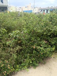 Image of 600 Sq.ft 1 BHK Independent House for sale in Dasanapura, Bengaluru for Rs. 5000000