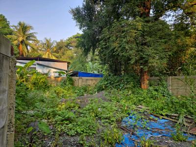 Image of 1089 Sq.ft Residential Plot / Land for sale in Vasai West, Vasai for Rs. 5025000