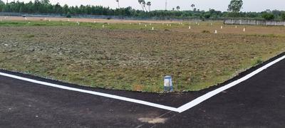 Image of 6600 Sq.ft Residential Plot / Land for sale in Mahabalipuram, Chennai for Rs. 9900000