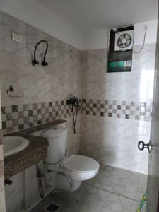 Common Bathroom Image of 1563 Sq.ft 3 BHK Apartment / Flat for sale in Amrapali Pan Oasis, Sector 70 Noida for Rs. 18500000