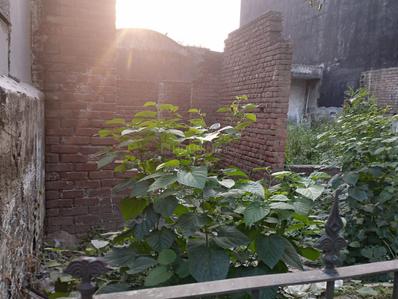 Image of 200 Sq.ft Residential Plot / Land for sale in NSG Society, Greater Noida for Rs. 34000000