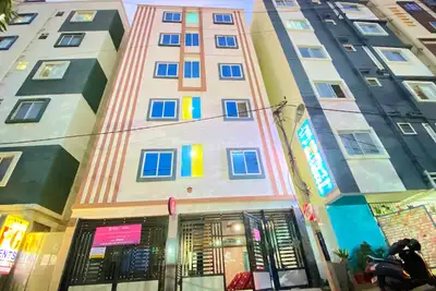 Image of Colive Whitewings in Whitefield, Bengaluru