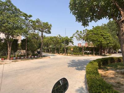 Residential Plot
