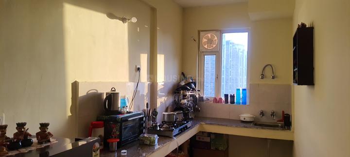 Pyramid Elite Main Image 1