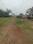 Swapnabhumi Internal Roads 1