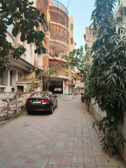 utraula Main Image 1