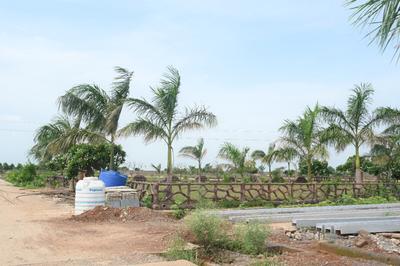 Image of 600 Sq.ft Residential Plot / Land for sale in Naya Raipur, Raipur for Rs. 811100