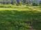 Bhauwala Plot View 2