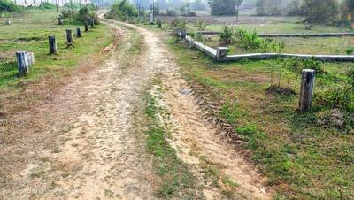 Nohsa Plot View 1