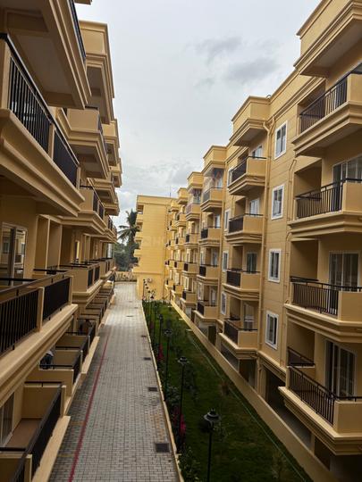 Signature Pristine Main Image 1