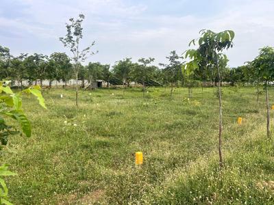 Image of 111 Sq.ft Residential Plot / Land for sale in Kothavalasa, Visakhapatnam for Rs. 666000