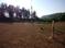 Neware Plot View 2