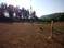 Image of 4000 Sq.ft Residential Plot / Land for sale in Neware, Ratnagiri for Rs. 17000000