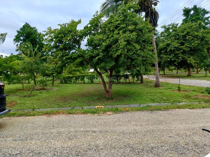 Canterbury Castles Main Image 1