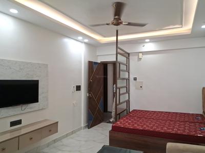 1 RK Apartment