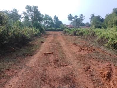 Harapur Plot View 3