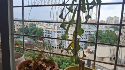 Image of 1120 Sq.ft 2 BHK Apartment / Flat for sale in Soham Riveria, Anand Nagar, Sinhagad Road, Pune for Rs. 11750000