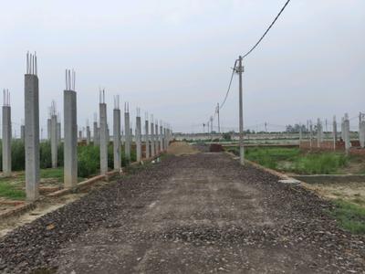Image of 98 Sq.ft Residential Plot / Land for sale in Dadri, Greater Noida for Rs. 2944623