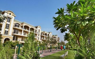 Image of 2300 Sq.ft 3 BHK Builder Floor for sale in Omaxe Gardenia Floors, New Chandigarh, Chandigarh for Rs. 21500000