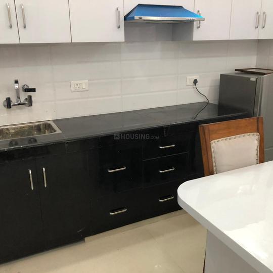 Safdarjung Enclave Kitchen 1
