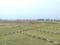 Bihta Main Image 1
