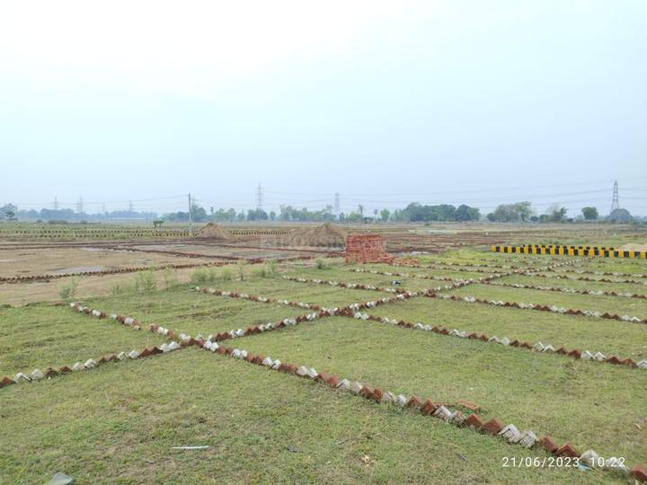 Bihta Main Image 1