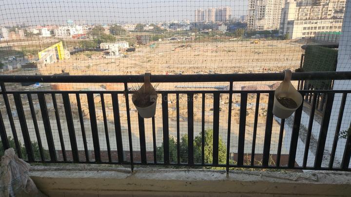 Saviour Greenisle Main Image 1