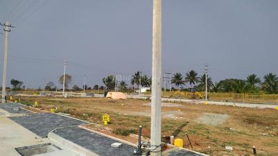 Samruddhi project Plot View 3