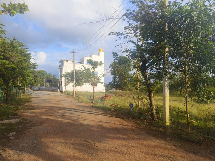 VGR SPRING FIELD Main Image 1