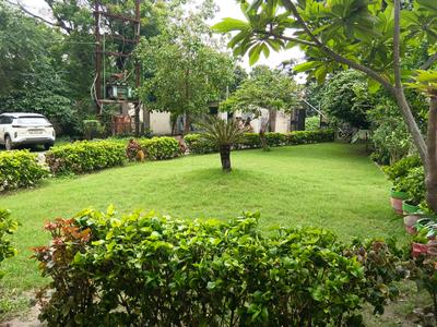 Image of 1050 Sq.ft 2 BHK Apartment / Flat for rent in Landmark Radhe Regency, Hukma Khedi, Indore for Rs. 15000
