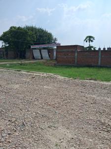 Barai Plot View 1