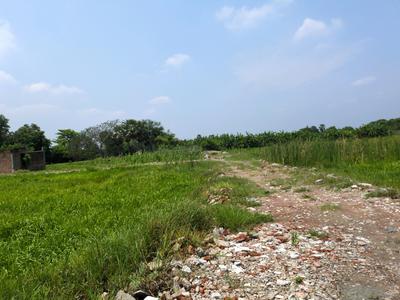 Residential Plot