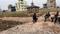 Mithapur Main Image 1