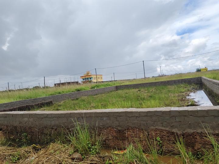 Arupnaga Main Image 1