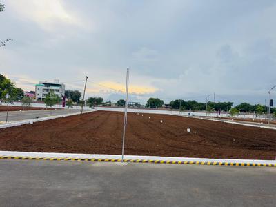 MAASS GRAND Plot View 2