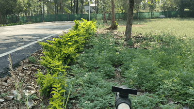 Thondamuthur Plot View 2