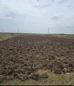 Image of 1089 Sq.ft Residential Plot / Land for sale in Panvel, Navi Mumbai for Rs. 392000