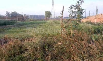 Residential Plot