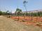 SS VALLEY Plot View 2