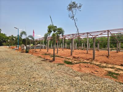 SS VALLEY Plot View 2
