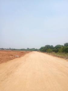 JBS Serene County II Internal Roads 1