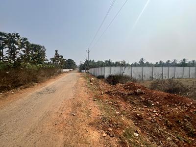 Chippada Thagarapuvalasa Plot View 3