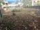 Residential plot in prime location thiruvananthapuram  Plot View 2