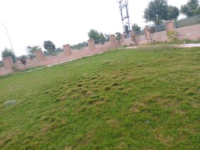 Image of 1350 Sq.ft Residential Plot / Land for sale in Chittora, Jaipur for Rs. 3800000