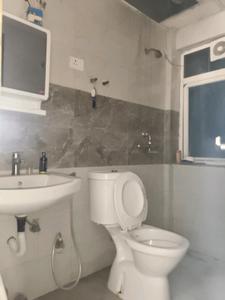 Common Bathroom Image of 1300 Sq.ft 2.5 BHK Apartment / Flat for rent in Noida Extension Greater Noida for Rs. 18500
