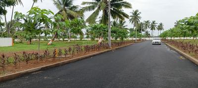 Bhogapuram Plot View 2