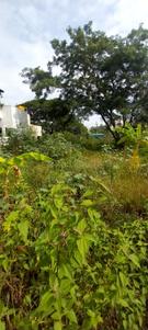Image of 2400 Sq.ft Residential Plot / Land for sale in Horamavu, Bengaluru for Rs. 27600000